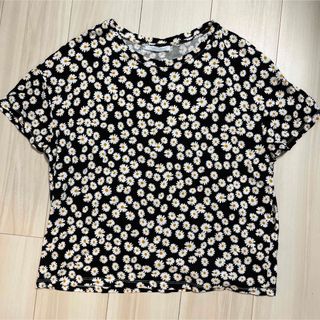 ザラ(ZARA)の【数回着用】ZARA 花柄tシャツ(Tシャツ(半袖/袖なし))