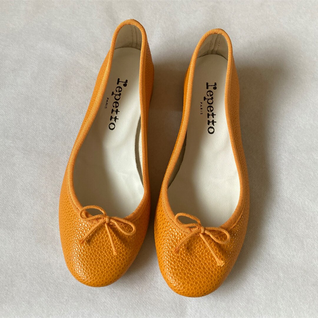 repetto(レペット)の未使用 レペット シューズ  レディースの靴/シューズ(ハイヒール/パンプス)の商品写真