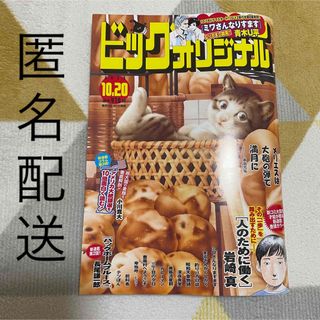 ショウガクカン(小学館)のビッグコミックオリジナル　2023.10.20(漫画雑誌)