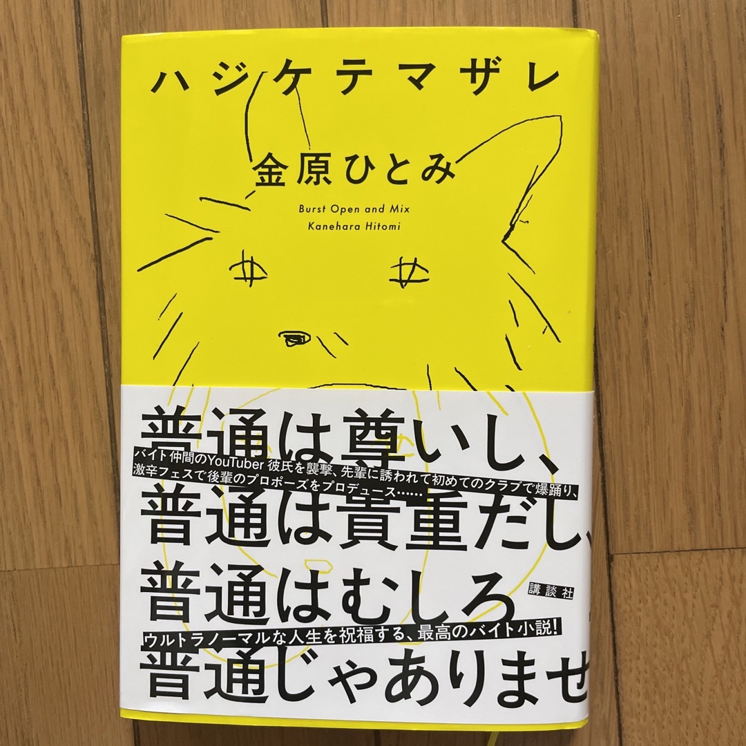 ハジケテマザレ エンタメ/ホビーの本(文学/小説)の商品写真