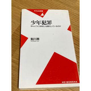 少年犯罪 ほんとうに多発化・凶悪化しているのか(人文/社会)