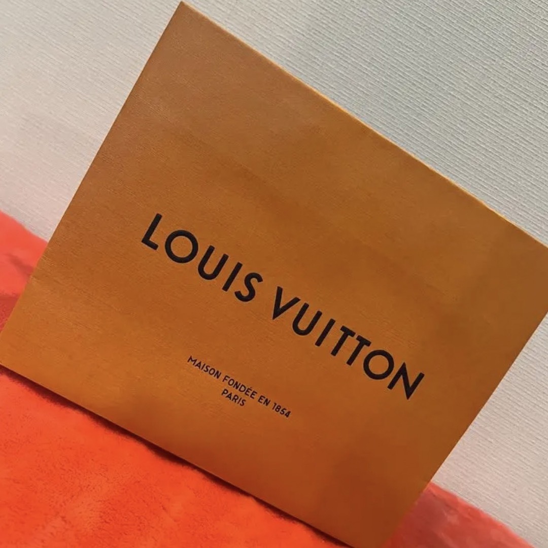 LOUIS VUITTON(ルイヴィトン)の最終値下げ❣️【美品】ルイヴィトン ショッパー 紙袋 LV レディースのバッグ(ショップ袋)の商品写真