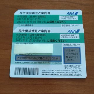 エーエヌエー(ゼンニッポンクウユ)(ANA(全日本空輸))のANA株主優待券　2枚(その他)