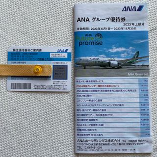 エーエヌエー(ゼンニッポンクウユ)(ANA(全日本空輸))のANA株主優待券1枚(2024/5/31搭乗分まで)　グループ優待券付き(航空券)