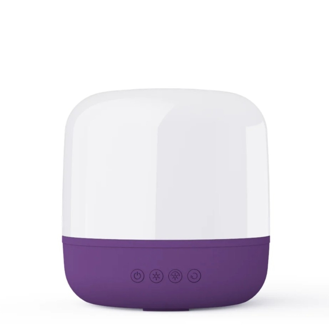 BTS MUSIC BOX LIGHT オルゴール ファンクラブ会員限定