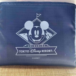 ディズニー(Disney)のディズニーリゾート　エコバッグ(キャラクターグッズ)