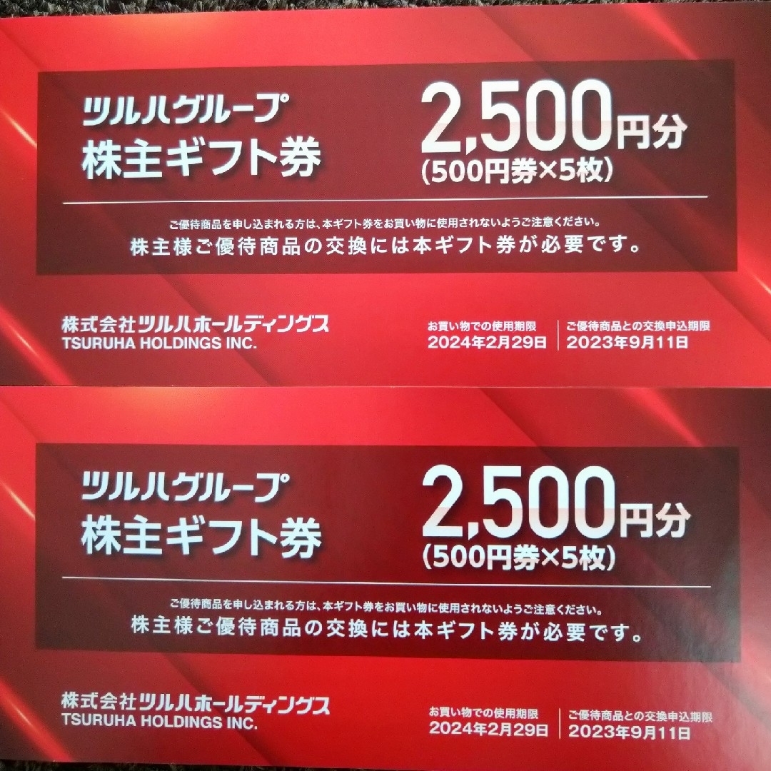 匿名配送 ツルハ ドラッグ 株主優待5,000円分(500円×10枚)