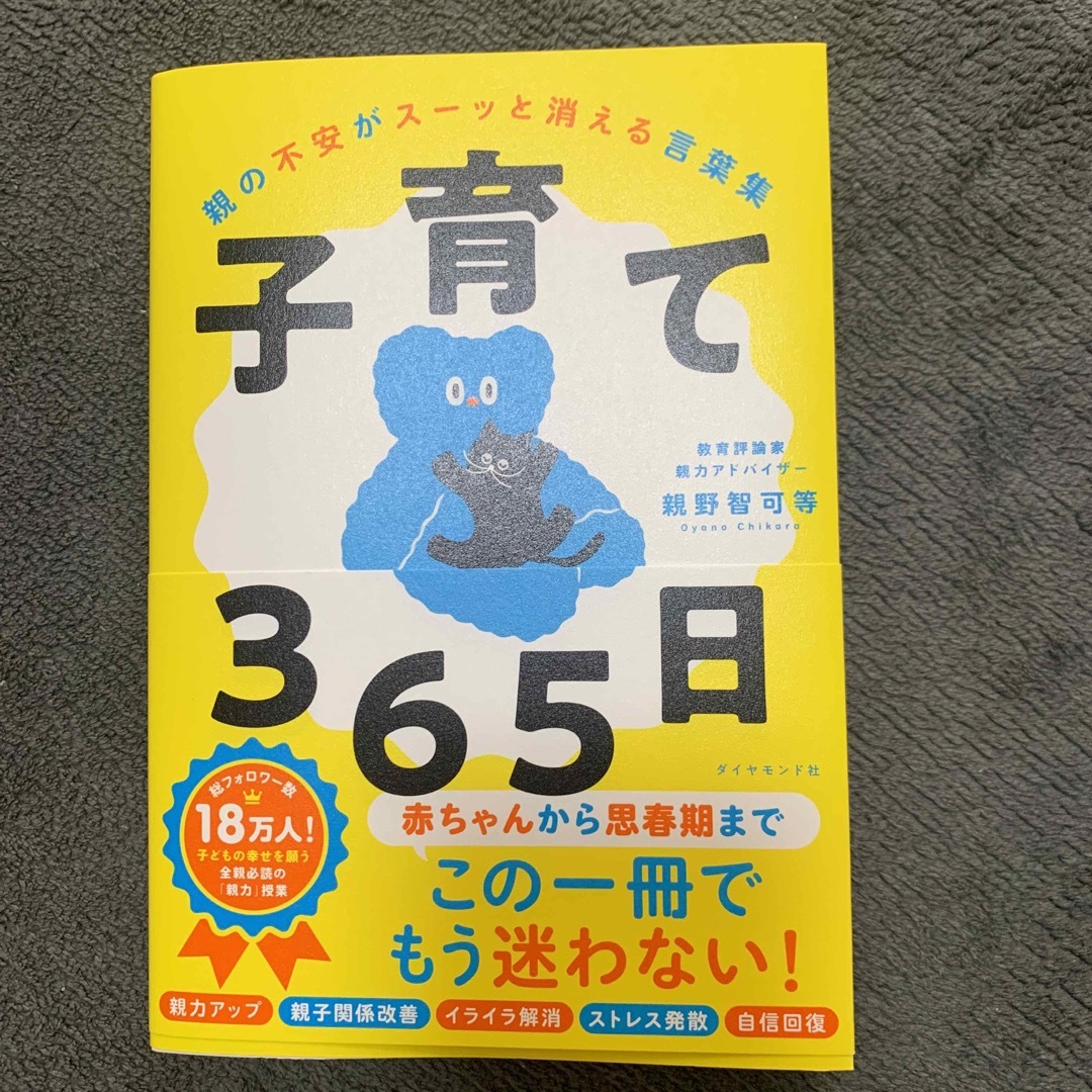 子育て３６５日 親の不安がスーッと消える言葉集 エンタメ/ホビーの雑誌(結婚/出産/子育て)の商品写真