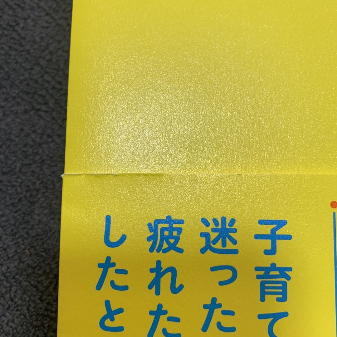 子育て３６５日 親の不安がスーッと消える言葉集 エンタメ/ホビーの雑誌(結婚/出産/子育て)の商品写真