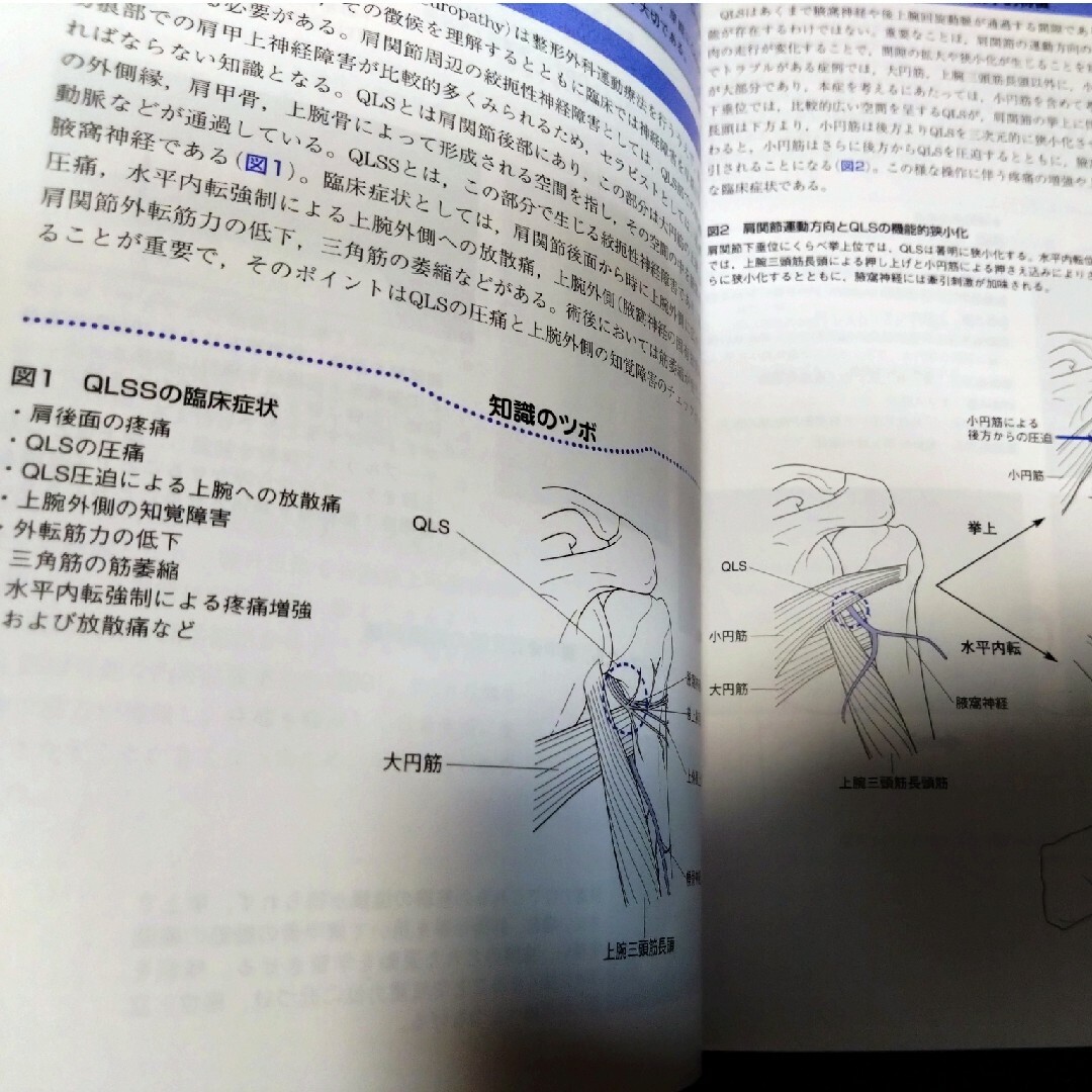 整形外科運動療法ナビゲーション2冊上下肢 理学療法士作業療法士 整形外科運動療法ナビゲーション2冊上下肢 理学療法士作業療法士