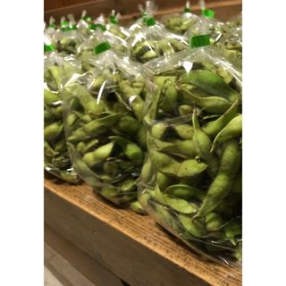 2023年　京都丹波黒大豆枝豆　枝無し1kg(野菜)