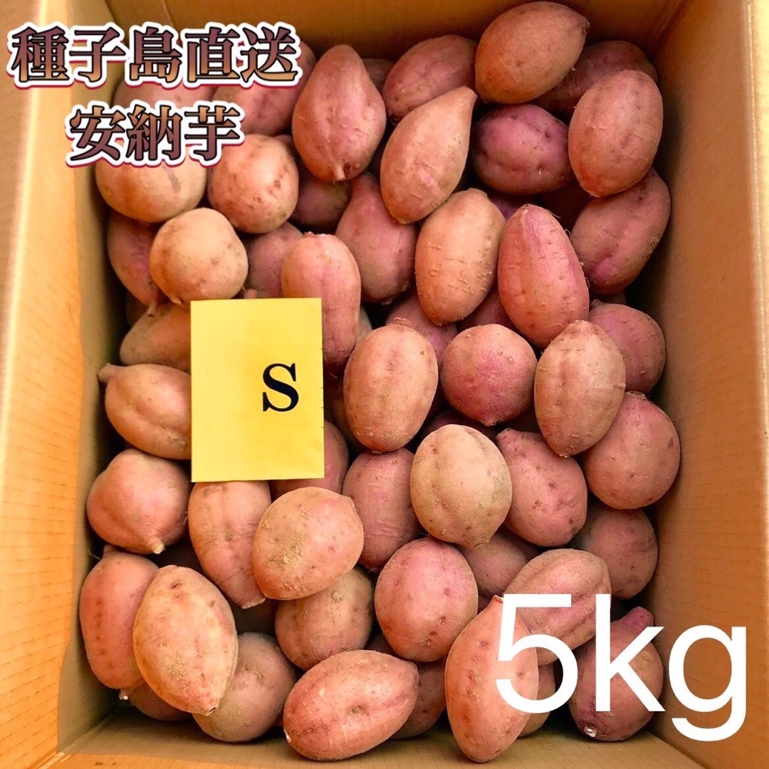 【絶品】種子島産  安納芋S 5kg(箱別) 食品/飲料/酒の食品(野菜)の商品写真