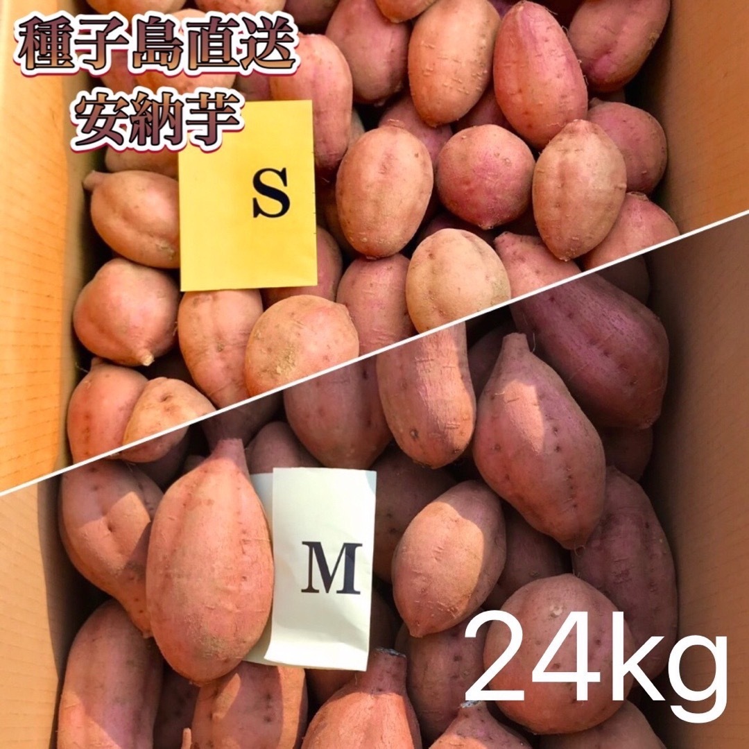 【絶品】種子島産 安納芋 S&M 混合24kg(箱別)