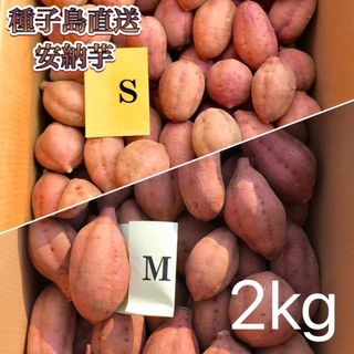 【絶品】種子島産 安納芋 S&M 混合2kg(箱別)(野菜)