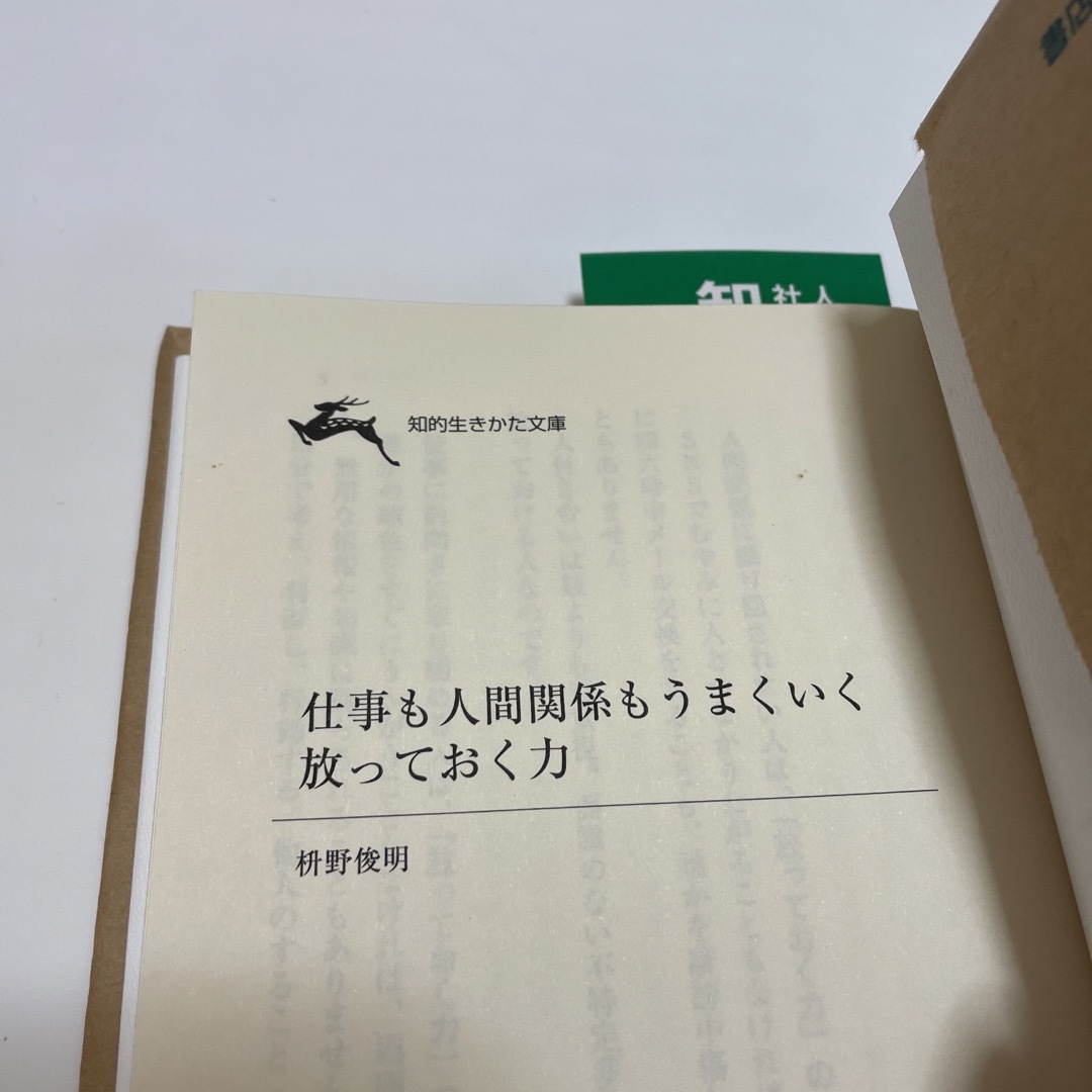 仕事も人間関係もうまくいく放っておく力 もっと「ドライ」でいい、９９の理由 エンタメ/ホビーの本(その他)の商品写真