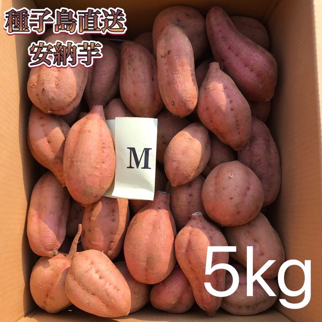 【絶品】種子島産  安納芋M 5kg(箱別) 食品/飲料/酒の食品(野菜)の商品写真