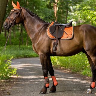 乗馬用　ゼッケン　イヤーネット(その他)