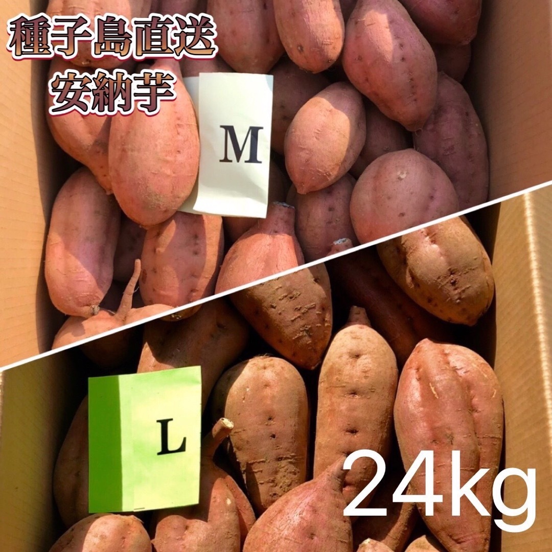 【絶品】種子島産 安納芋 M&L 混合24kg(箱別)