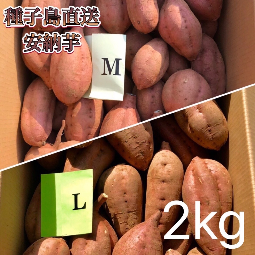 【絶品】種子島産 安納芋 M&L 混合2kg(箱別) 食品/飲料/酒の食品(野菜)の商品写真