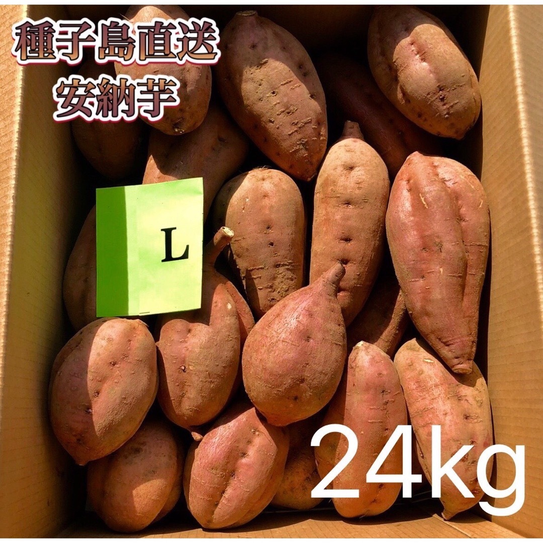 シニアファッション 10kg(箱別)- 【絶品】種子島産 絶品】種子島産