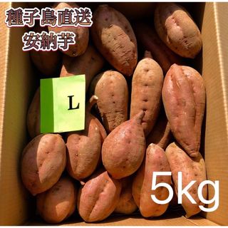 【絶品】種子島産  安納芋L 5kg(箱別)(野菜)