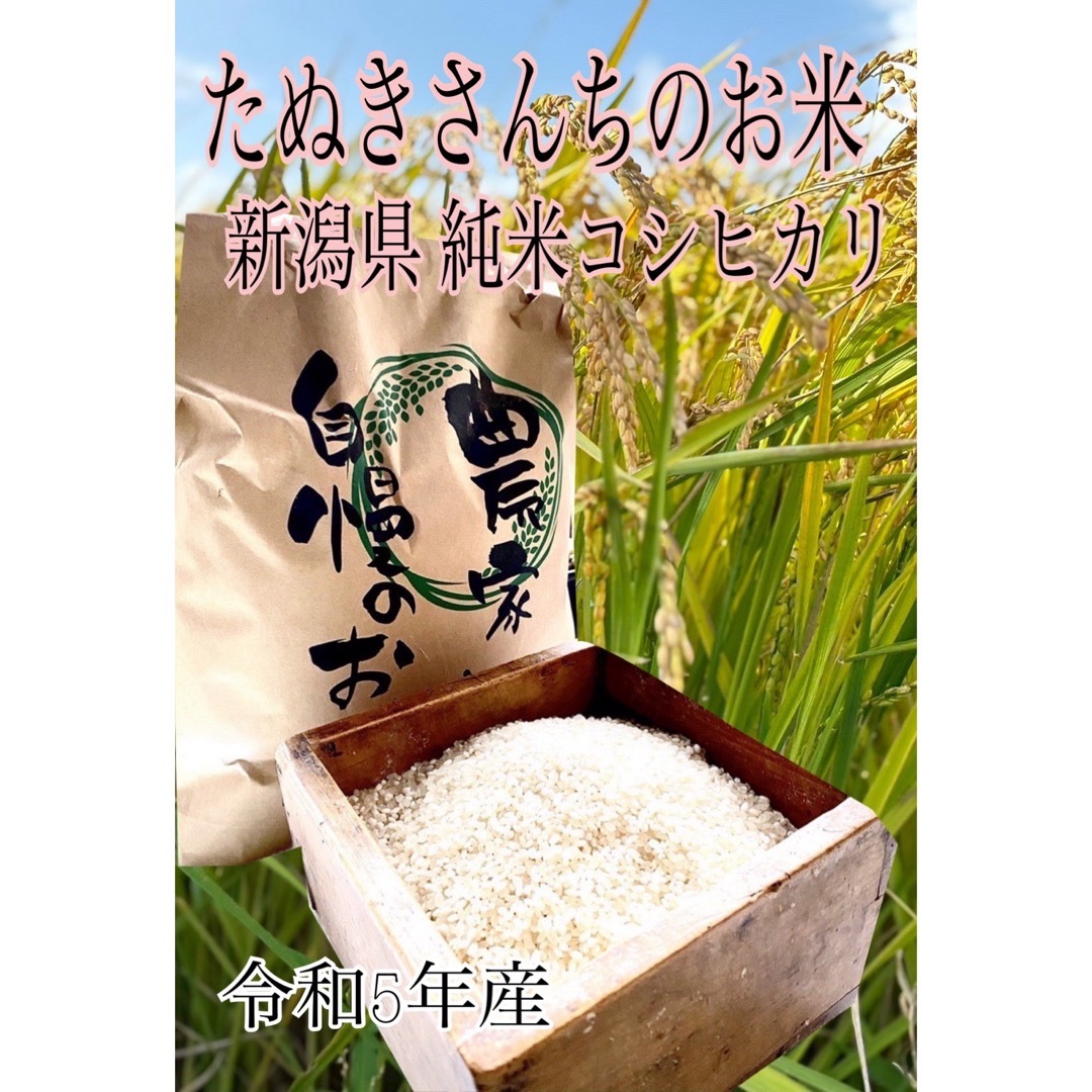 たぬきさんちのお米 新潟県産 純米コシヒカリ 5kg 食品/飲料/酒の食品(米/穀物)の商品写真