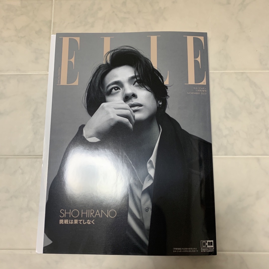 ELLE エル・ジャポン 11月号 増刊