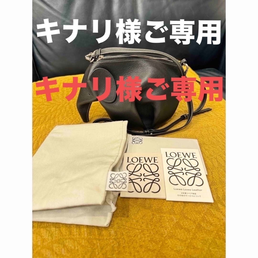 ‼️お値下げ中‼️レア‼️LOEWE エレファントバッグ SV金具‼