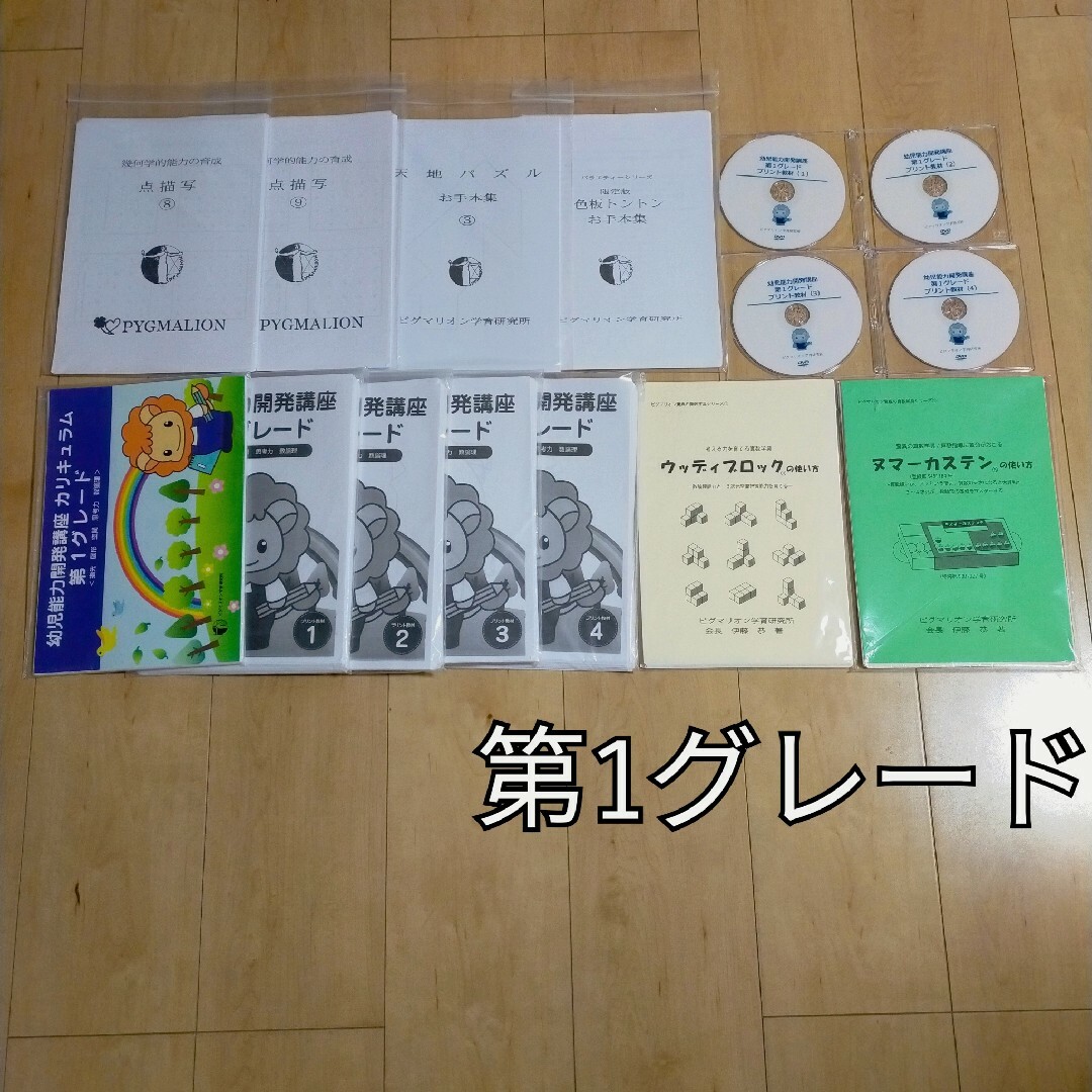 ピグマリオン第1グレード キッズ/ベビー/マタニティのおもちゃ(知育玩具)の商品写真