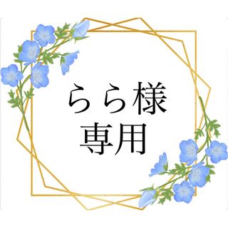 らら様専用　ネモフィラ　種　4種(その他)