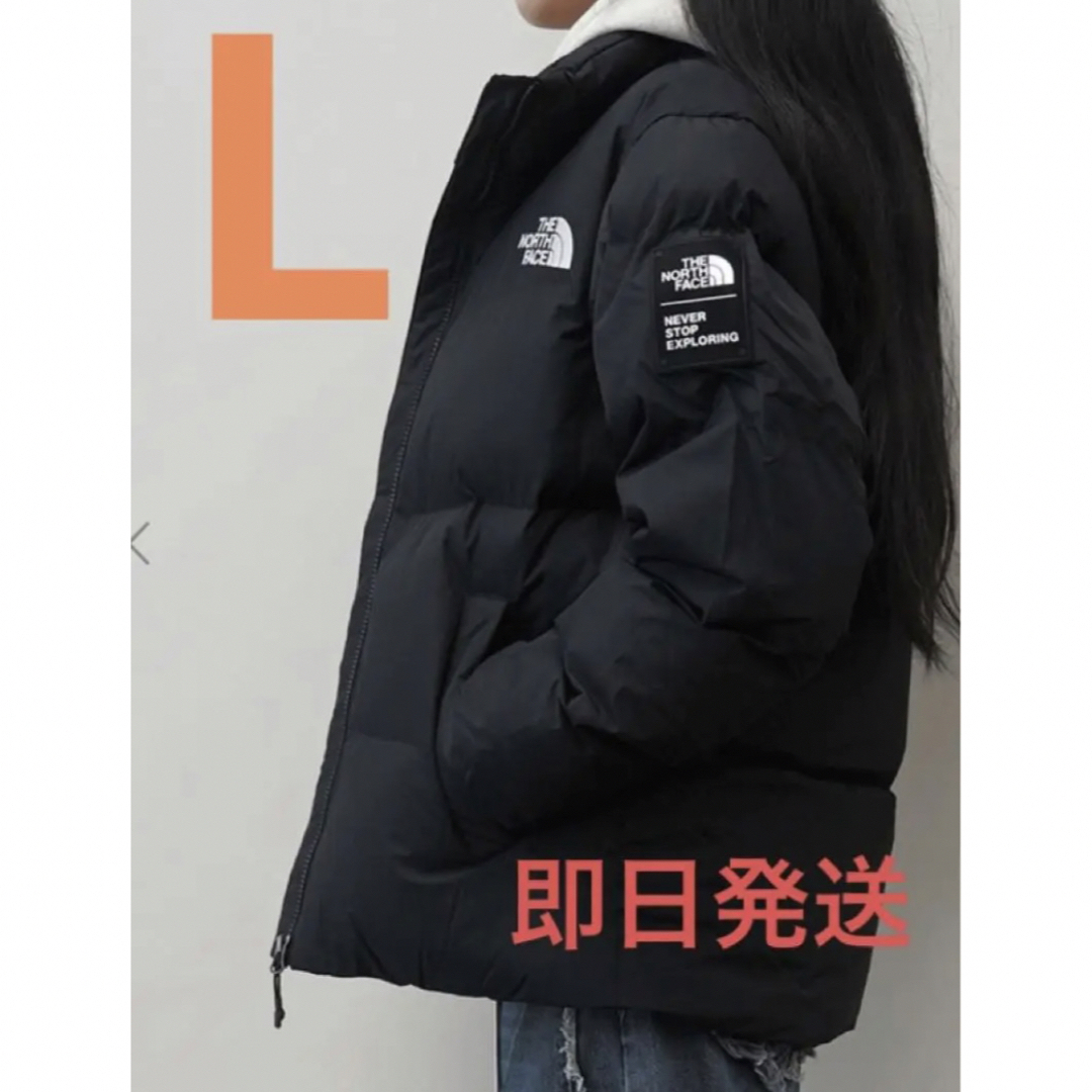 新品タグ付ノースフェイス【Lサイズ】ASPEN ON BALL JACKETジャケット/アウター