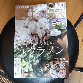 NHK 趣味の園芸 2021年 12月号(その他)