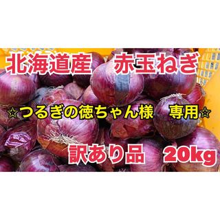 北海道産　赤玉ねぎ　訳あり品　20kg(野菜)