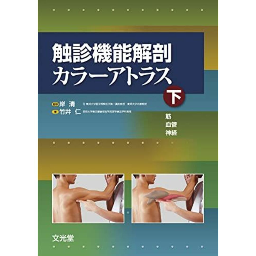 触診機能解剖カラーアトラス 下 筋・血管・神経