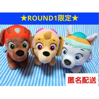 ★ROUND1限定★パウパトロール出動!BIGぬいぐるみズーマスカイエベレスト