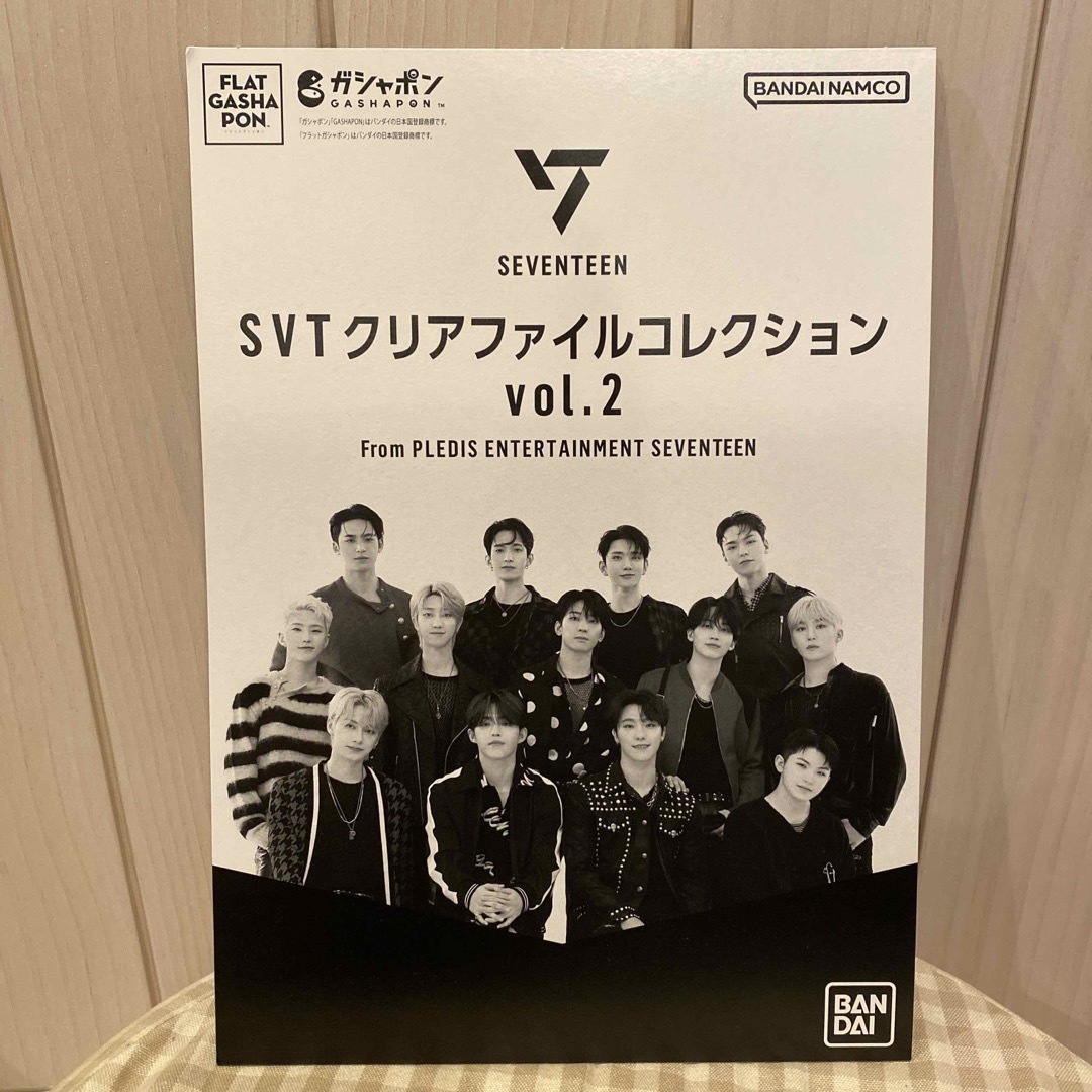 SEVENTEEN(セブンティーン)のSVT セブンティーン　クリアファイル　☆DINO・ディノ☆ エンタメ/ホビーのタレントグッズ(アイドルグッズ)の商品写真