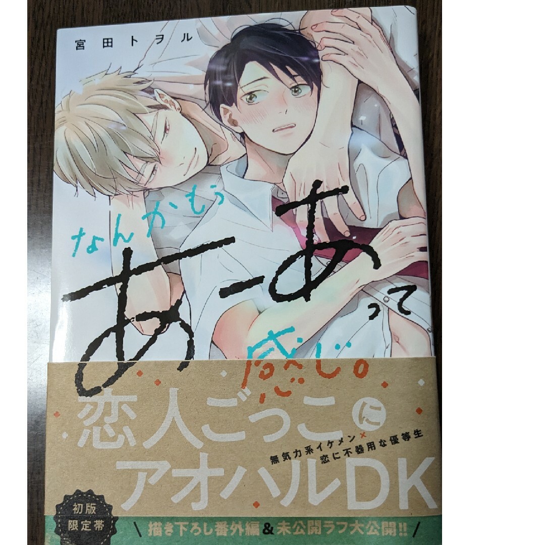 コミック  BL  なんかもうあーあって感じ。宮田トヲル エンタメ/ホビーの漫画(ボーイズラブ(BL))の商品写真