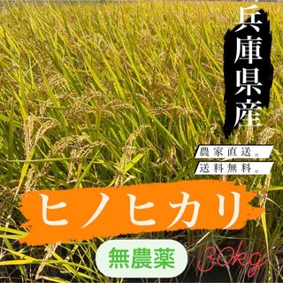 【大特価】ひのひかり ヒノヒカリ 新米 玄米 無農薬 30kg(米/穀物)