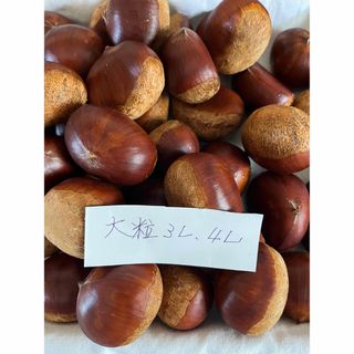 大粒🌰１.５キロ渋皮煮に最適な3L.4L(フルーツ)