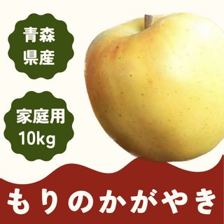 青森県産 もりのかがやき りんご 家庭用 10kg 産地直送 リンゴ