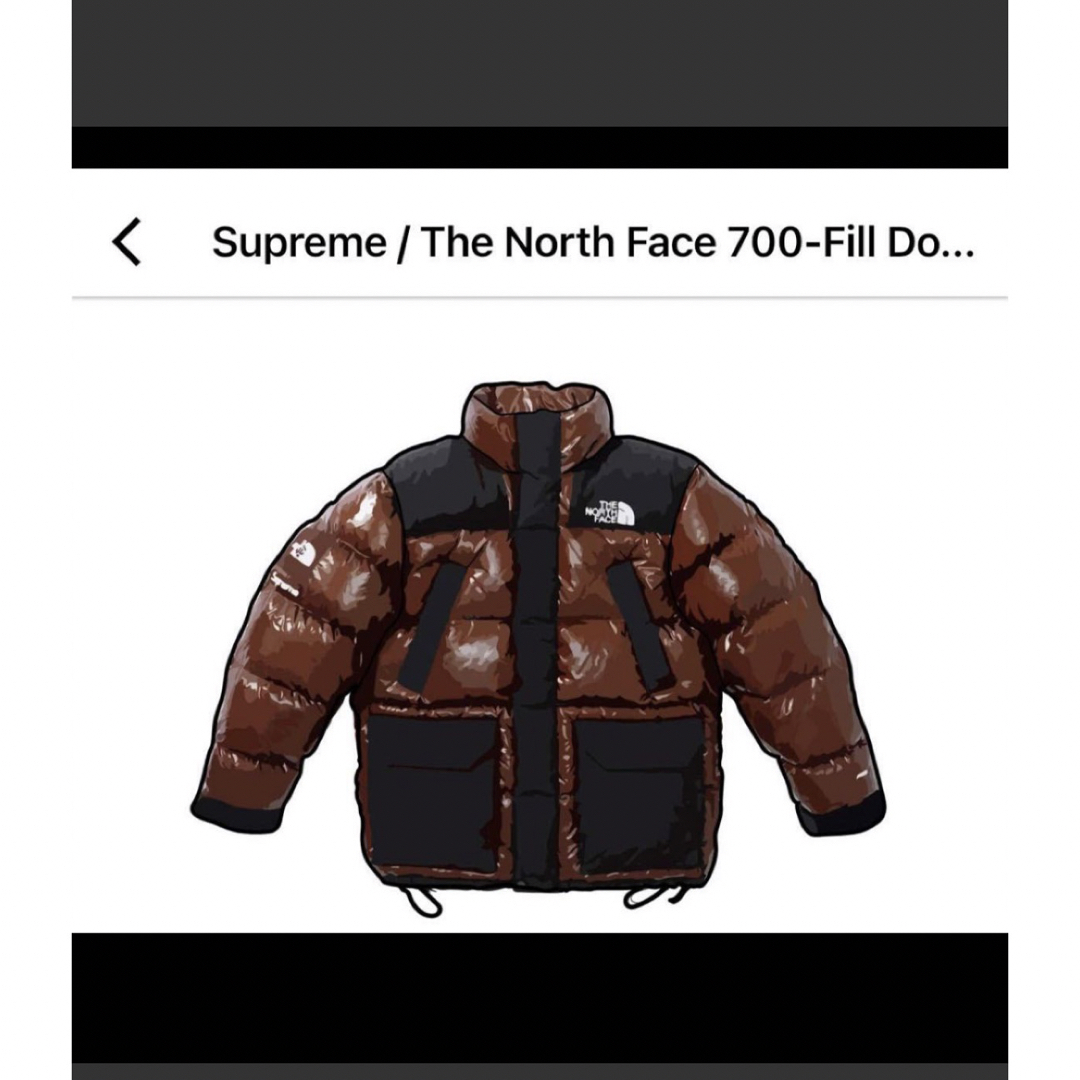 Supreme(シュプリーム)のSupreme / The North Face 700-Fill  メンズのジャケット/アウター(ダウンジャケット)の商品写真