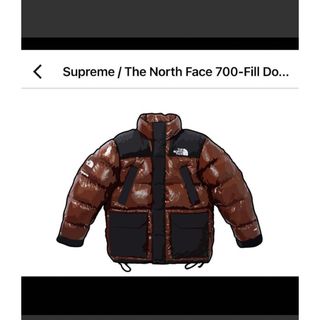 シュプリーム(Supreme)のSupreme / The North Face 700-Fill (ダウンジャケット)