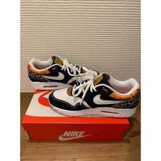 28.5 Nike Air Max 1 \