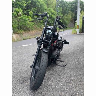 Harley Davidson - 2019年式　XL883N フルカスタム