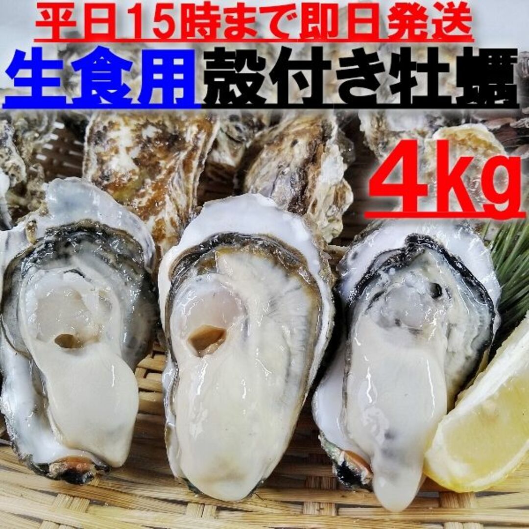 15時まで即日発送可能  生食用 殻付き 牡蠣 ４ｋｇ（28~70粒）牡蠣 殻付