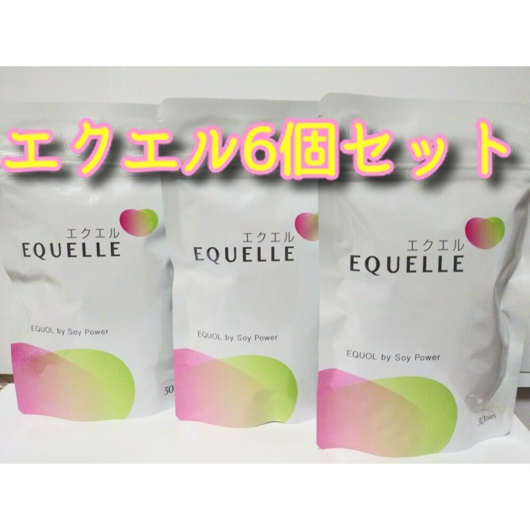 大塚製薬 - 【新品・未開封】エクエル パウチ 120粒×6袋 セットの通販