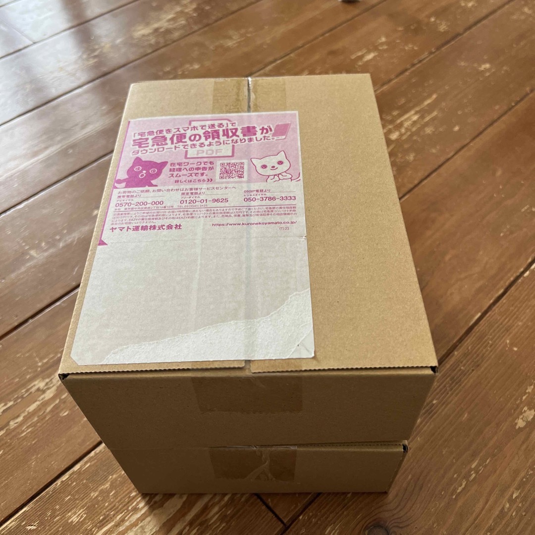 ポケモン - レイジングサーフBOX 未開封　シュリンクあり