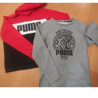 プーマ(PUMA)のPUMA　トレーナー　パーカー　150 160(その他)