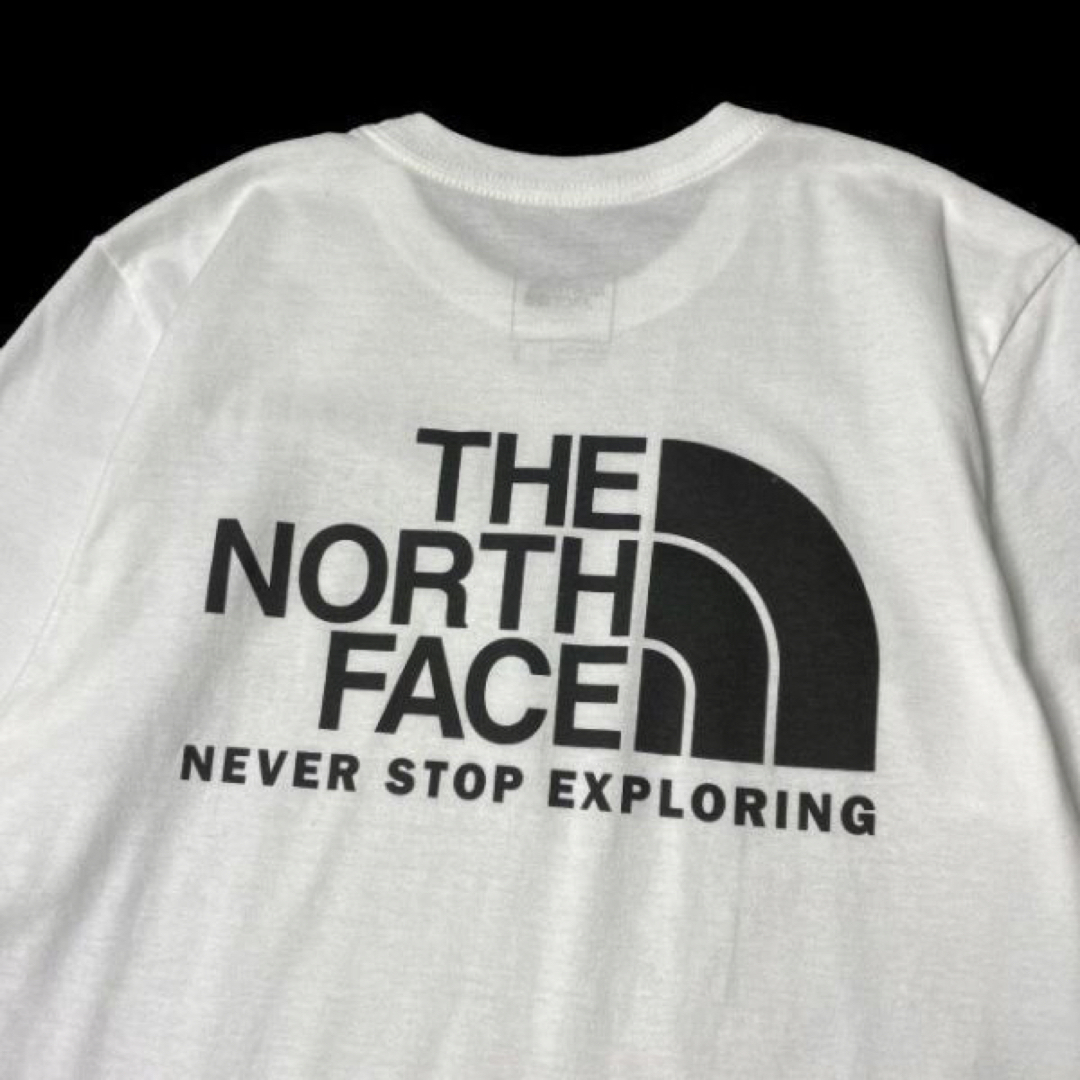 秋季値下げLサイズthenorthface neverstopexploring - パーカー