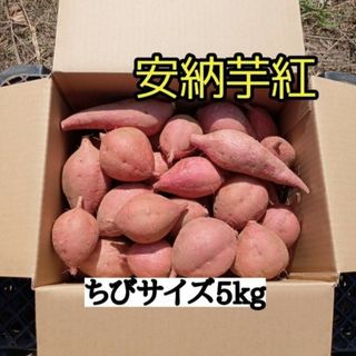 安納芋紅ちびサイズ5kg(種子島産)(野菜)